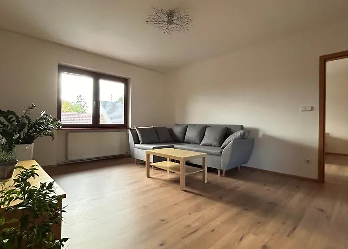 Pod Zamkem Apartment *